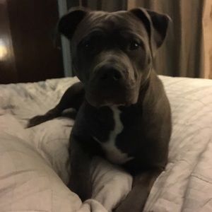 Meet your Posher, Julia